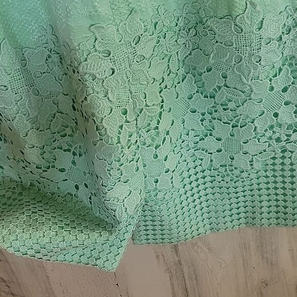 NWOT Antonio Melani GORGEOUS Lace Midi Dress in mint Green - Picture 15 of 16